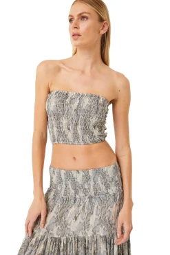 MISA Los Angeles ROKSANA BANDEAU Springpython New