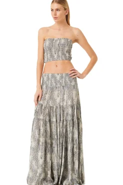 MISA Los Angeles ROKSANA BANDEAU Springpython New